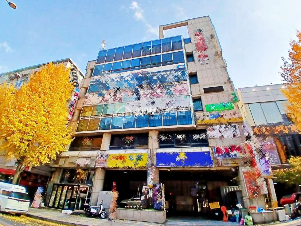 경기 성남분당구 수내동 평수대비 휘둥그레지는 월세가, 실력에 자신 있는 사장님 찾습니다! 월세 매물번호 11203 사진 1
