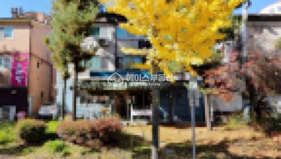 경기 성남분당구 정자동 KT먹자골목 테라스 품은 예쁜 상가, 딱 알아보는 자리 월세 매물번호 11526 사진 1