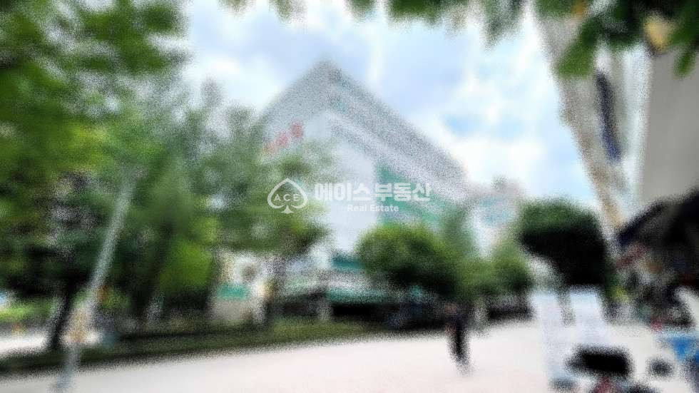 경기 성남분당구 금곡동 다시 없을 절호의 찬스!공실걱정은 No, 수익률은 고! 매매 매물번호 11585 사진 1