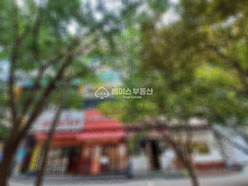 경기 성남분당구 수내동 1층 메인 식당 상가 유동인구 최고! 월세 매물번호 11701 사진 1