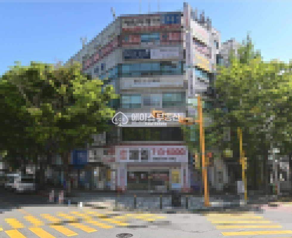 경기 성남분당구 정자동 인테리어 S급, 월세는 C급 착한 매물 월세 매물번호 11831 사진 1